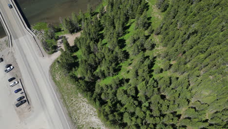 Drone-Pans-Up-from-Empty-Highway-to-Reveal-Large-River-in-Dense-Evergreen-Forest