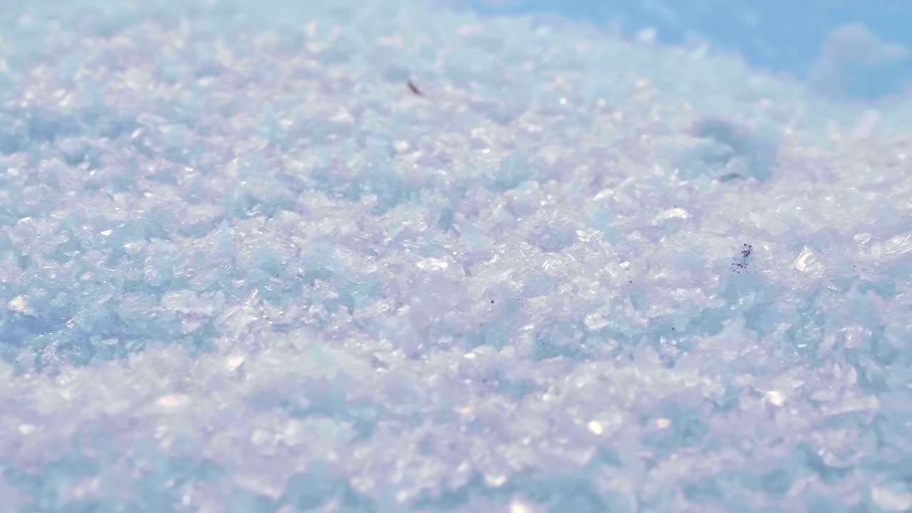 A close-up of crystalline snow fills the frame, with a few small black specks visible against a light blue background