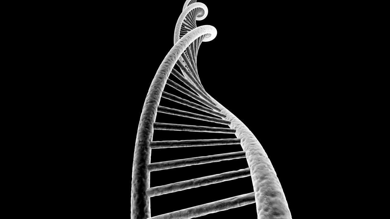 bucle sin costuras de adn giratorio