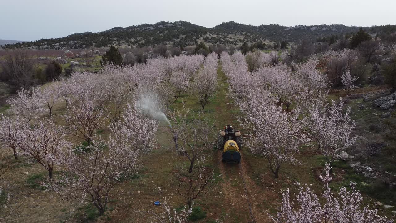 농업 스프레이 꽃 피는 나무 공기