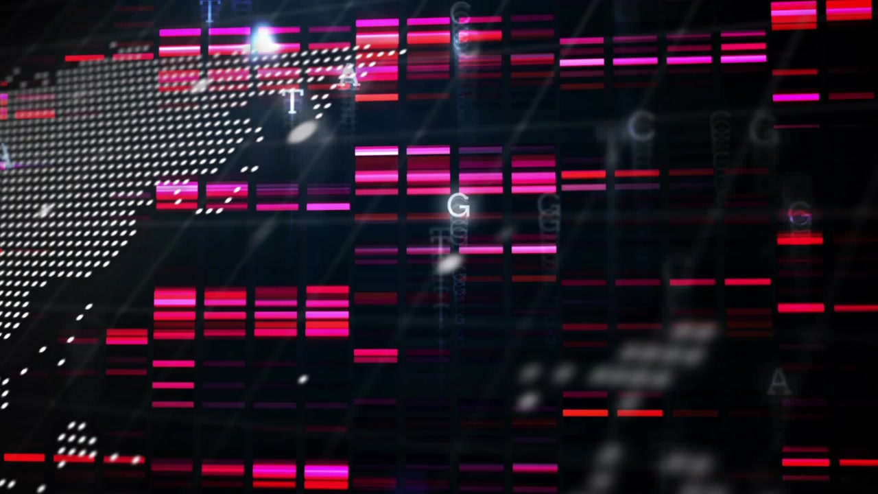 Starting with console text appearing, dotted world map showing magenta bars sliding to monitor data