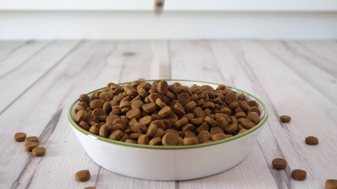 Dry cat food in a white porcelain bowl, on the light floor with copyspace for text