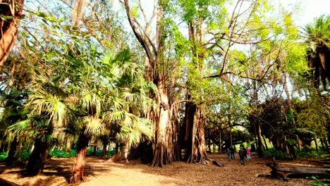 Material-De-Archivo-De-Argelia,-áfrica-Del-Norte