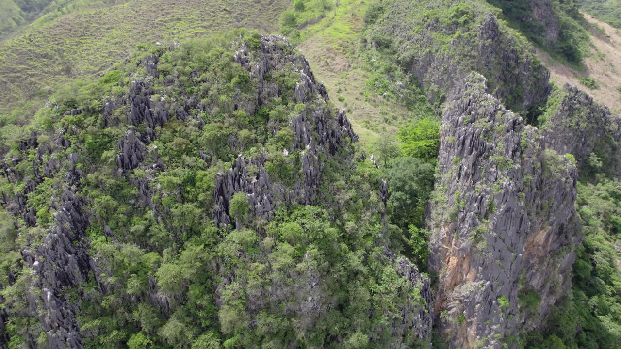 Aerial view of a karst landscape with limestone rocks and vegetation