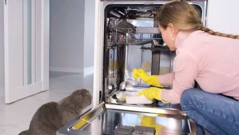 a woman in rubber gloves pours powder into the container of the dishwasher housewife with a cat