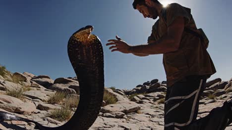 man handling a cobra in a rocky desert landscape