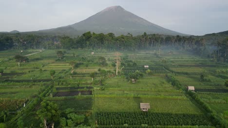 drone volando sobre tierras de cultivo verdes y exuberantes con una montaña volcánica en el fondo