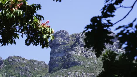 terreno rocoso de la montaña de la mesa detrás de los árboles en un día de viento en ciudad del cabo, sudáfrica