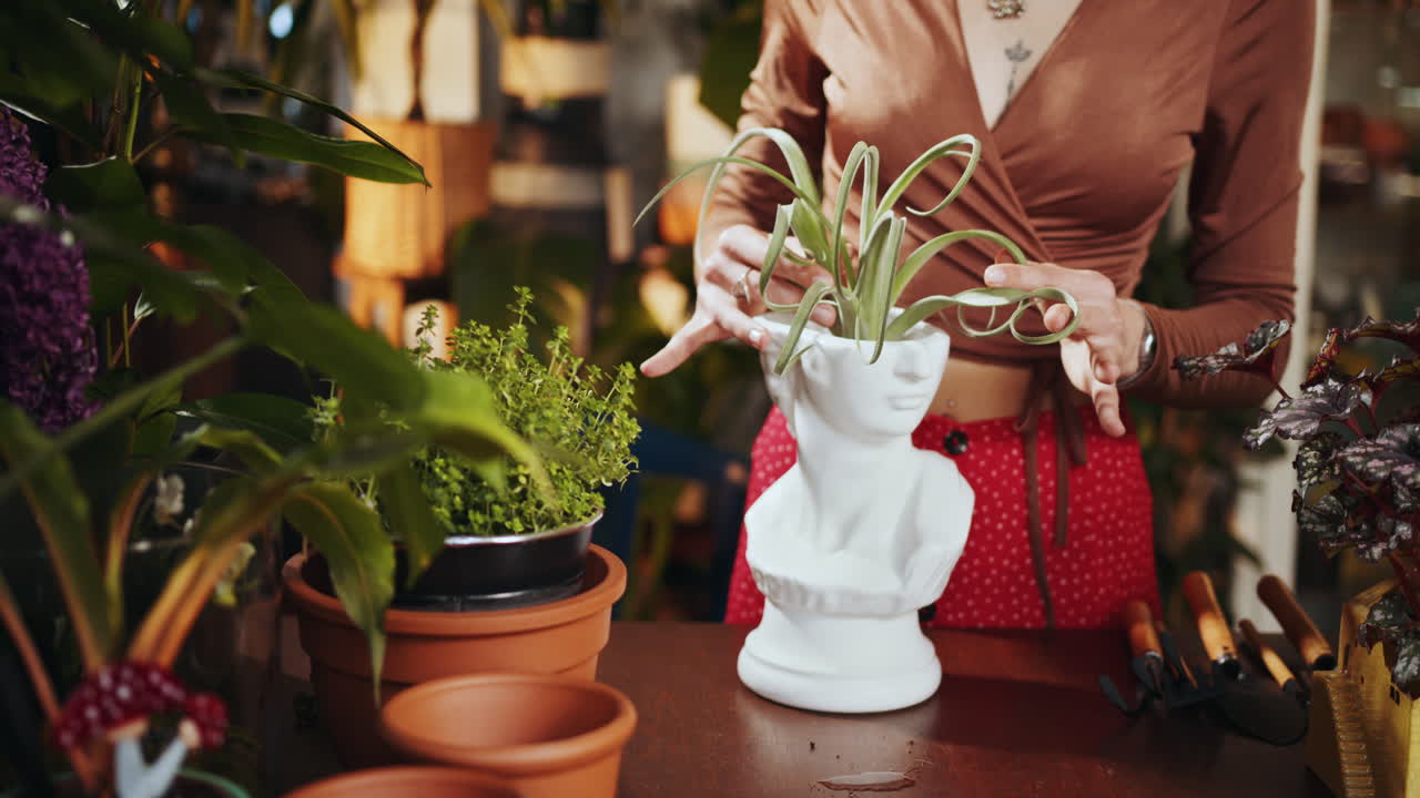 mujer cuidando de una planta de aire en una planta decorativa