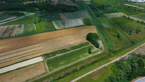tiro de inclinación aérea girando sobre campos rurales en el campo de istria, croacia