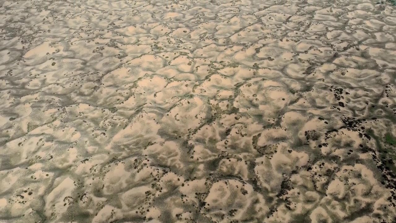 Aerial View of Vast Desert Sand Dunes and Green Vegetation