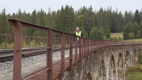 worker on a railway bridge in the forest