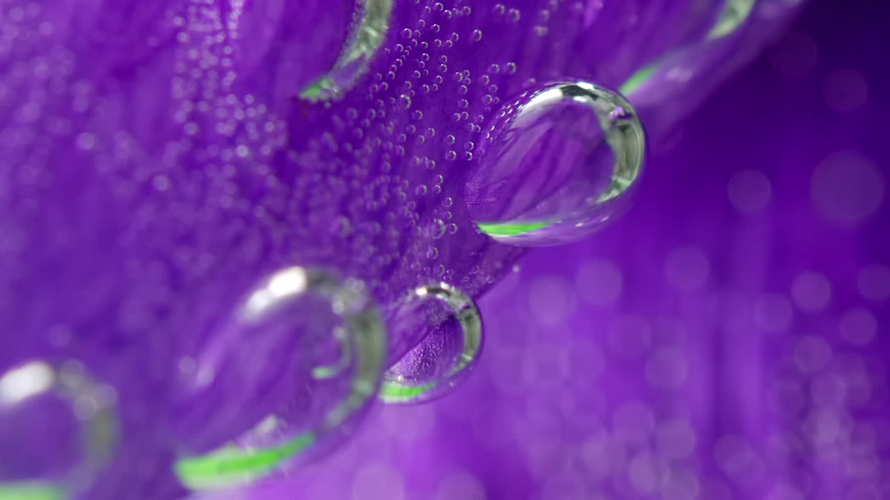 Purple Flower Petals with Water Droplets and Bubbles