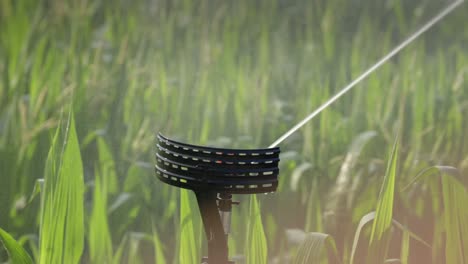 Sprinklers-watering-field-at-sunrise