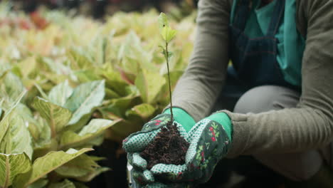 jardinero que trabaja en interiores