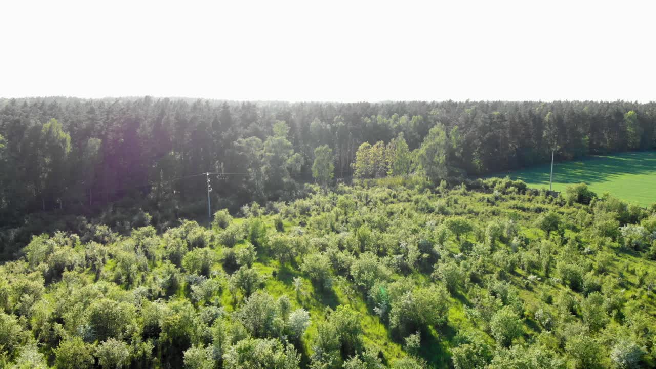 ポーランドのポメラニア地方にある牧草地の空撮ドリーショット