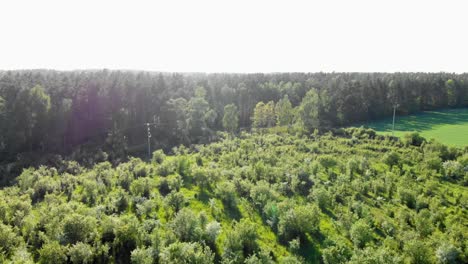 aerial dolly shot of meadow in pomeranian district in poland