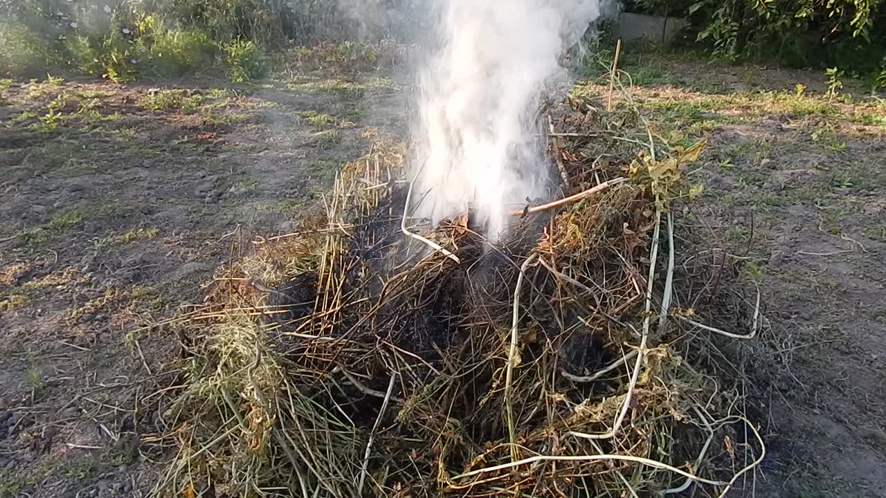 Fire fire burns twigs and wood