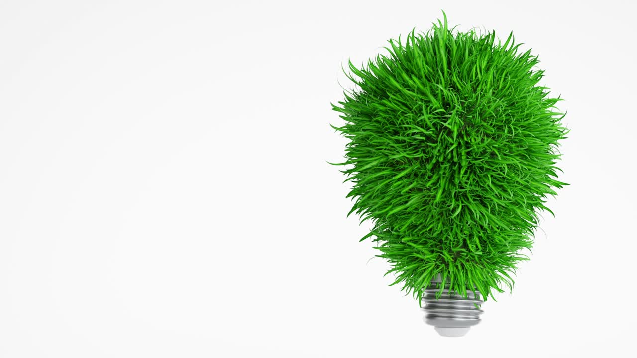 녹색 잎 풀에서 전구, 에너지 절약 개념, 3d 렌더링, 루프 비디오 4k