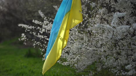 Bandera-De-Ucrania-Amarilla-Y-Azul-En-Un-Jardín-De-Flores.