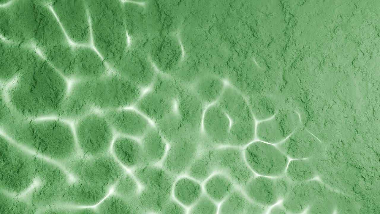 Abstract water reflection on green textured surface. Sunlight ripple pattern with aquatic effect. Summer and vacation concept. Design for wallpaper, poster, banner, header, card. Flat lay copy space