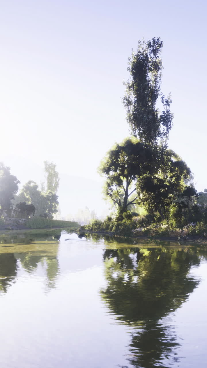 Tranquil river landscape with vibrant vegetation under bright sunlight