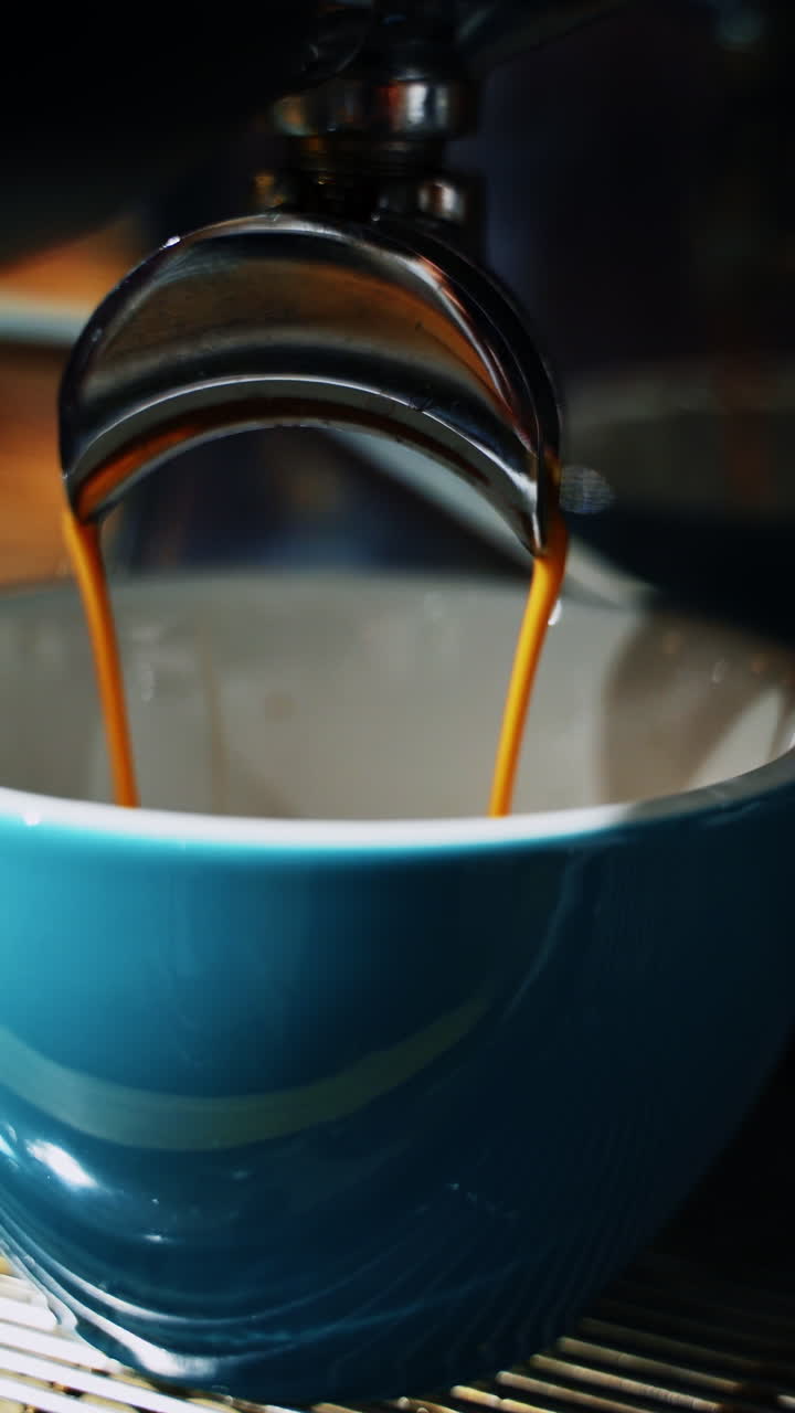 Barista makes coffee in cafe. Barista preparing cup of coffee for client in cafe
