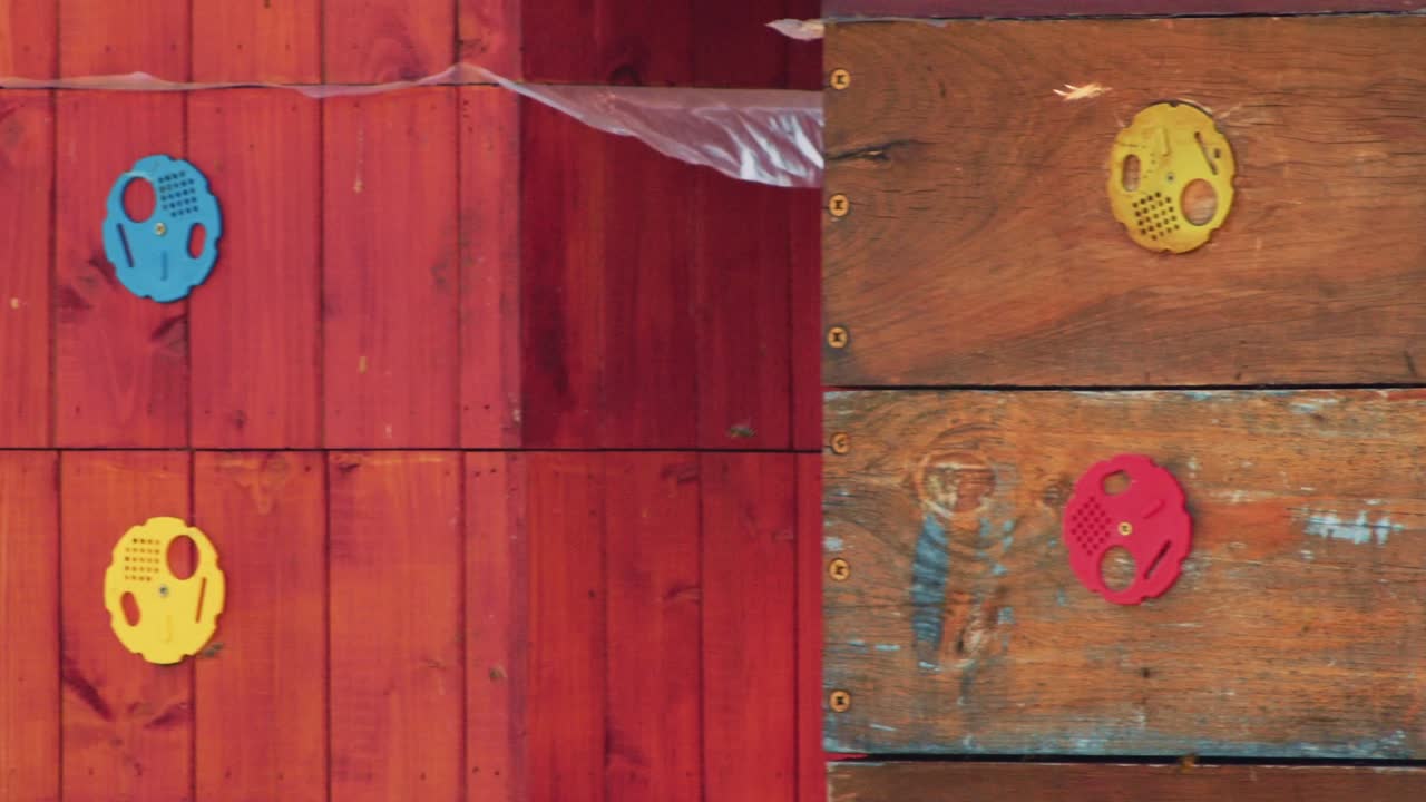 ульи и летающие пчелы. медленное панорамирование движение камеры