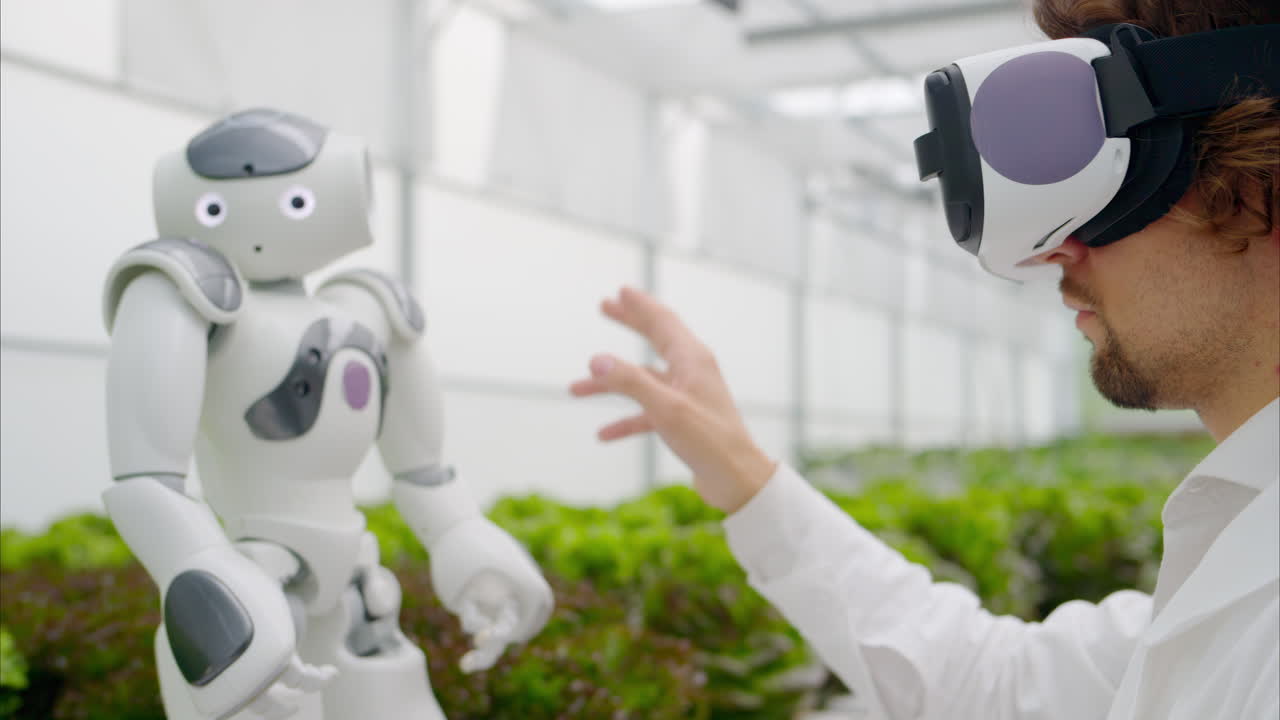 Laboratory technician in a white coat wearing virtual reality headset interacting with humanoid robot near different types of lettuce in a greenhouse farm