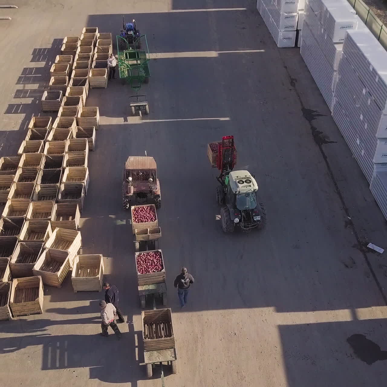 A tractor with a forklift picks up a wooden box with apples from a trailer and takes it to the factory premises. Production of fruit processing. Juice making.