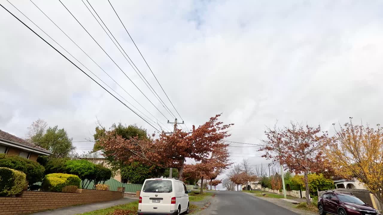 나무로 둘러싸인 교외 거리를 가로질러 경치 좋은 드라이브