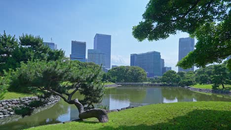 Beautiful-Japanese-traditional-garden-and-pond-with-skyscrapers-Tokyo