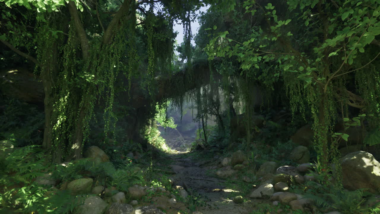 Lush green forest pathway leading to a mysterious clearing in daylight