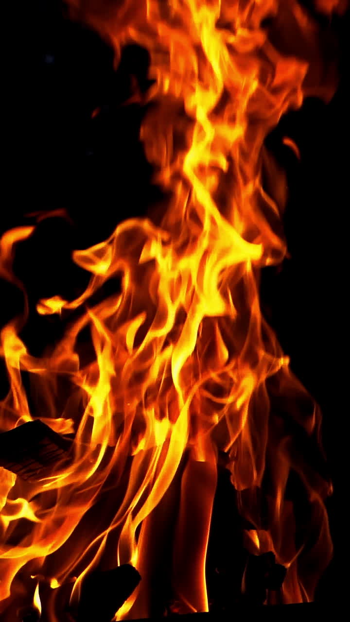 Bonfire. The fire is lit in the night. Slow motion Vertical video