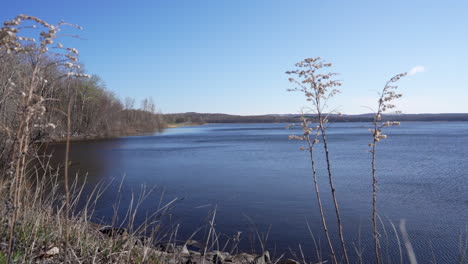 Tiro-Pan-En-El-Parque-Nacional-De-Yamaska