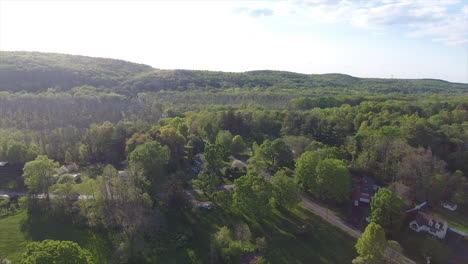 aerial pan out of trees and beyond