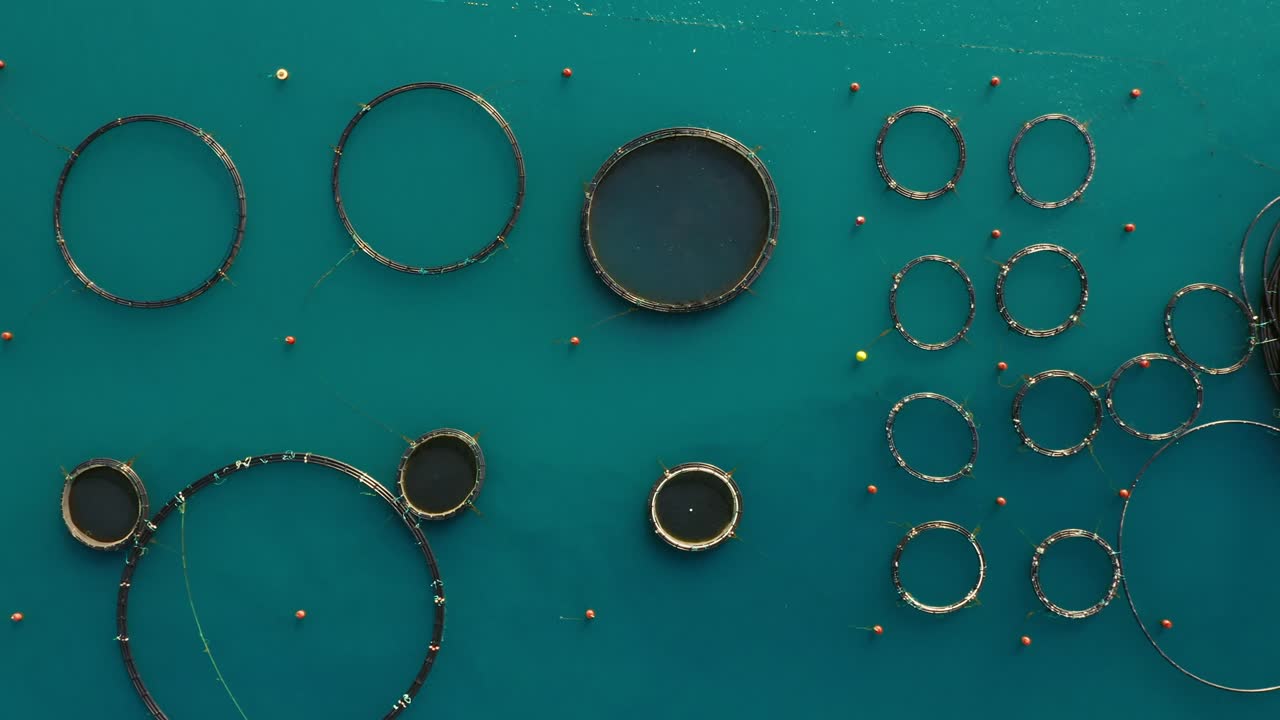 vista aérea de arriba de los anillos de las granjas de atún en el mar mediterráneo
