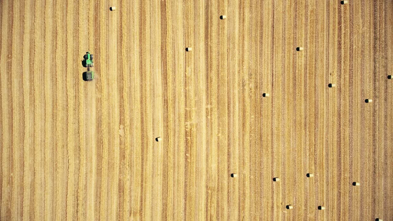 Vista dall'alto di mietitrebbie al lavoro in un campo di grano