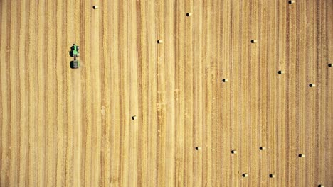 top down view of harvester machines working in wheat field
