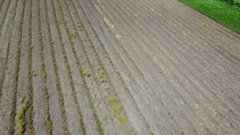 Top-down-view-of-farming-land-ready-to-start-sowing-in-southamerica