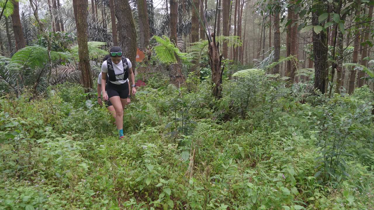 부부 가 울창 한 숲 에서 산책 하고 있다