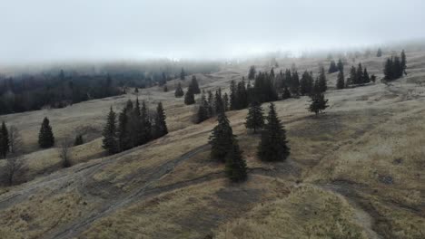 Tannen-Auf-Den-Nebligen-Bergen-In-Der-Nähe-Der-Landschaft