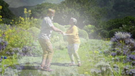 Animación-De-Luz-Brillante-Sobre-El-Retrato-De-Una-Feliz-Pareja-De-Ancianos-Bailando-En-El-Jardín