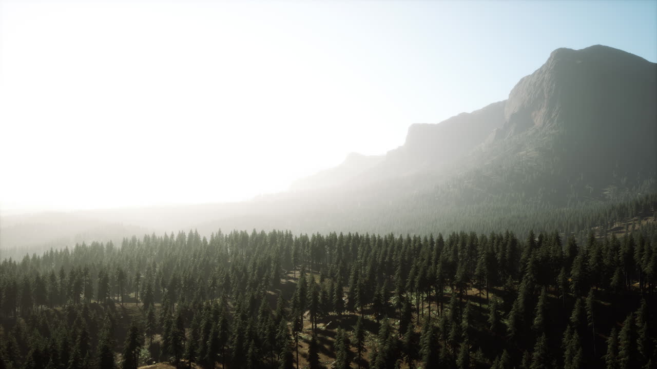 hermoso paisaje natural en el verano