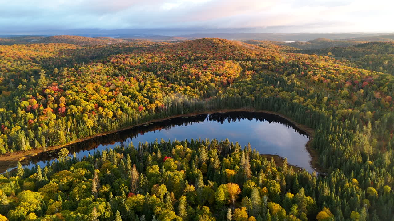 Drone view of a colorful autumn forest with mountains, lake, and river at sunrise in Mauricie, Quebec, Canada. Warm morning light highlights vibrant fall foliage and peaceful landscape