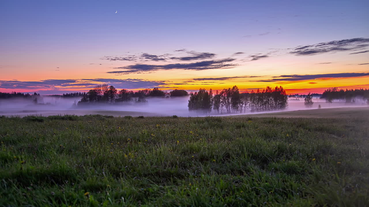 delgadas nubes de niebla que envuelven árboles y prados verdes durante la puesta de sol