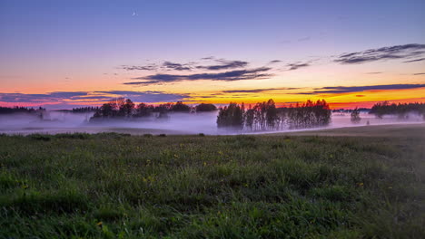 Dünne-Nebelwolken-Verschlingen-Bäume-Und-Grüne-Wiesen-Bei-Sonnenuntergang