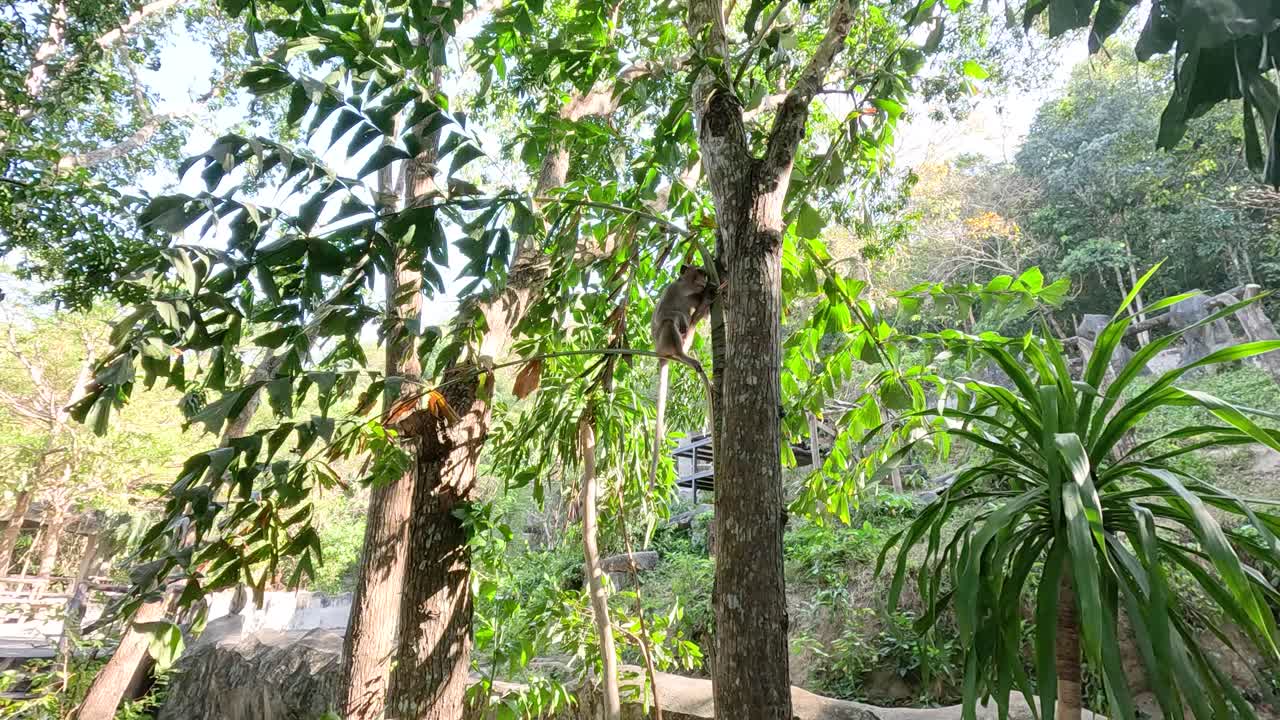 동물원에서 원이들이 상호 작용하고 나무에 올라가고 있습니다.