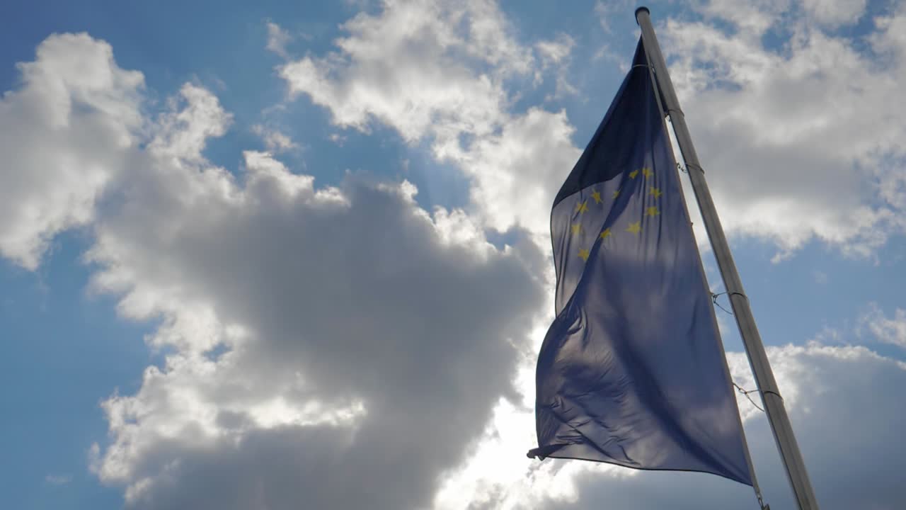 Due uccelli volano davanti a una bandiera dell'Unione Europea che sventola, inquadratura grandangolare dal basso