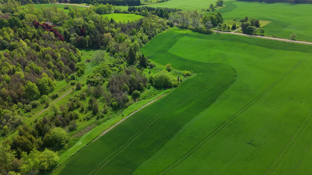 A lush green farmland with vibrant trees and rolling hills, aerial view